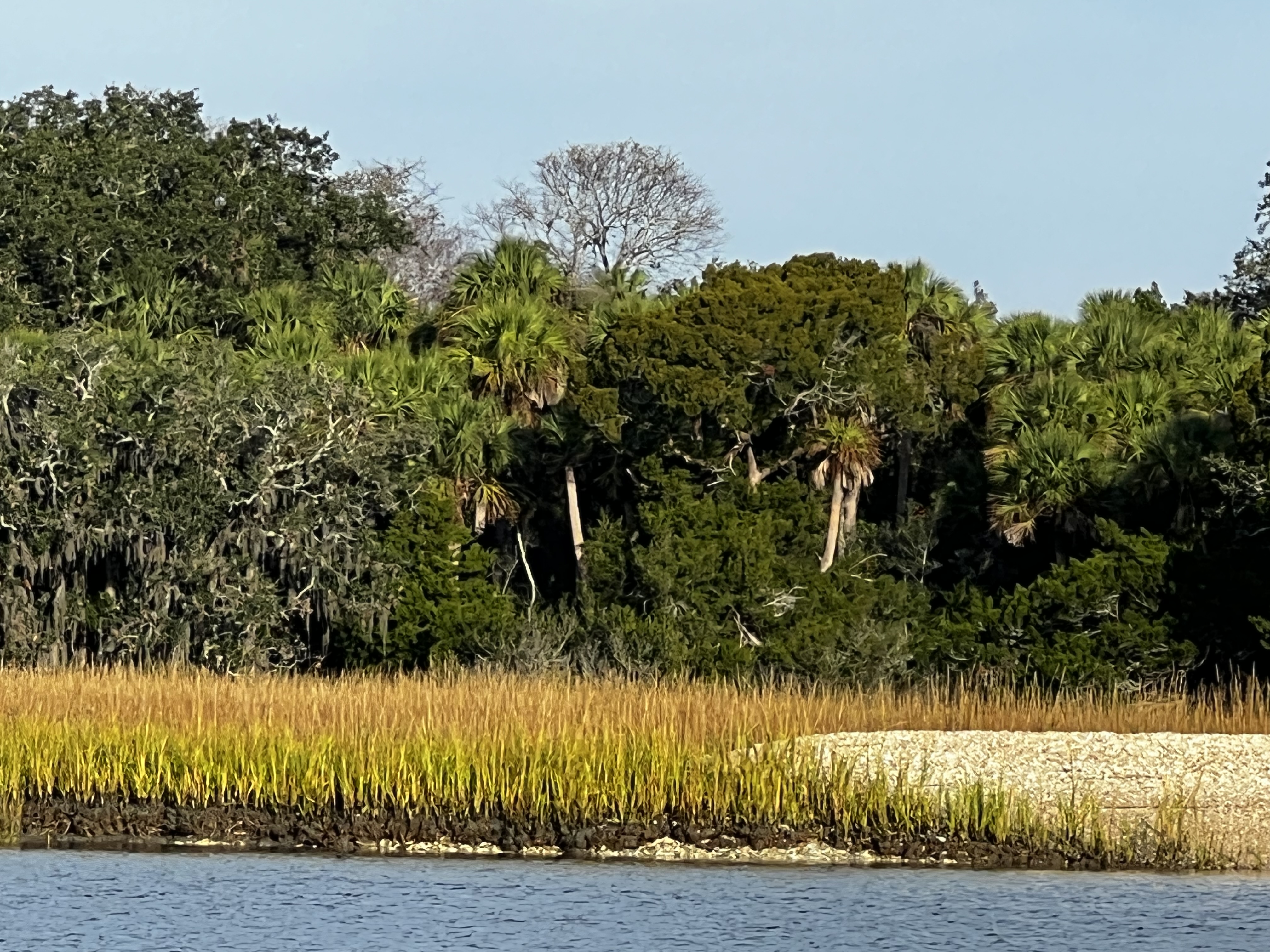 “Life is like a box of chocolates…” – Sailing South Carolina