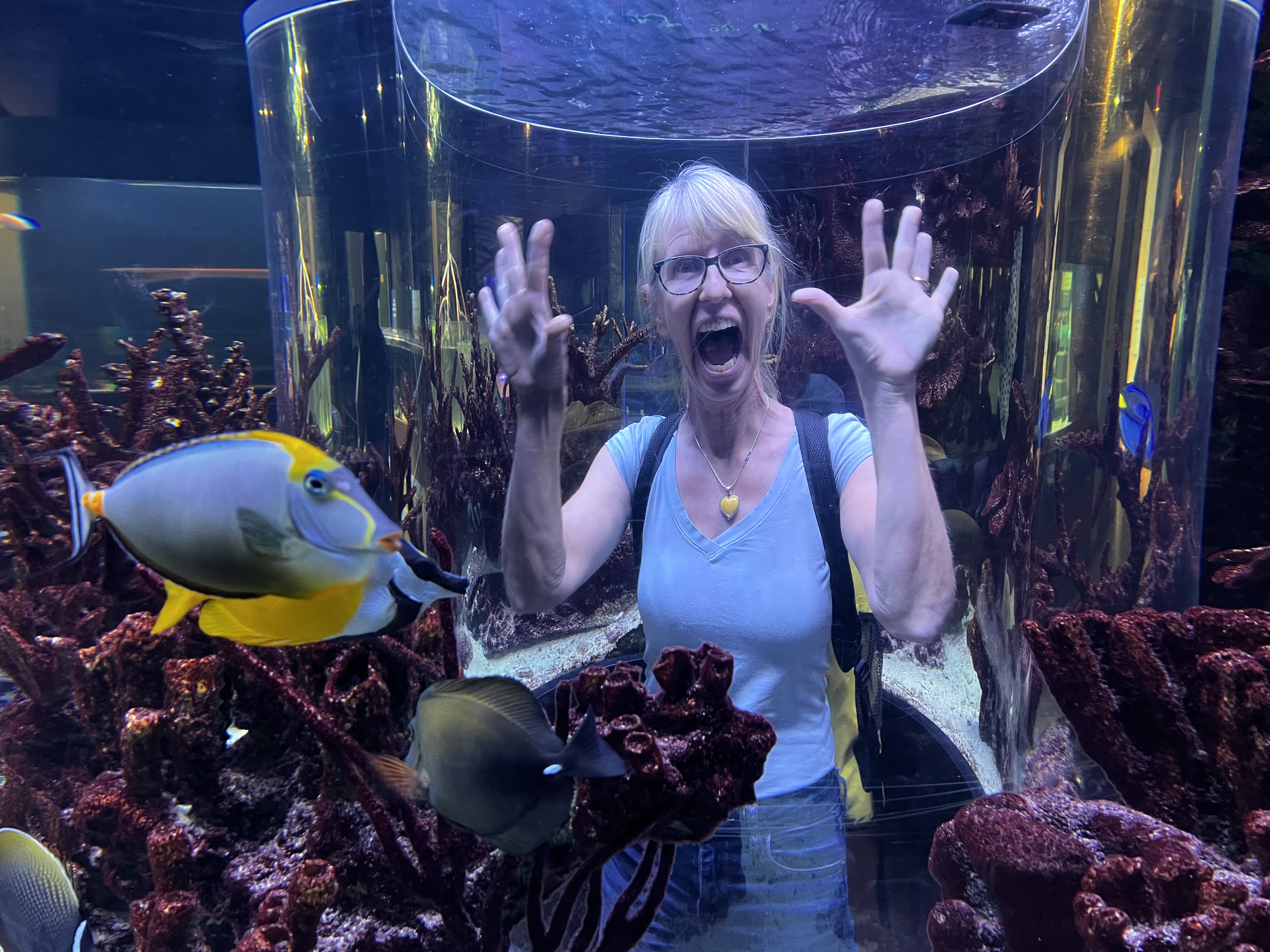 The Floridian Curse: Being stuck in West Palm