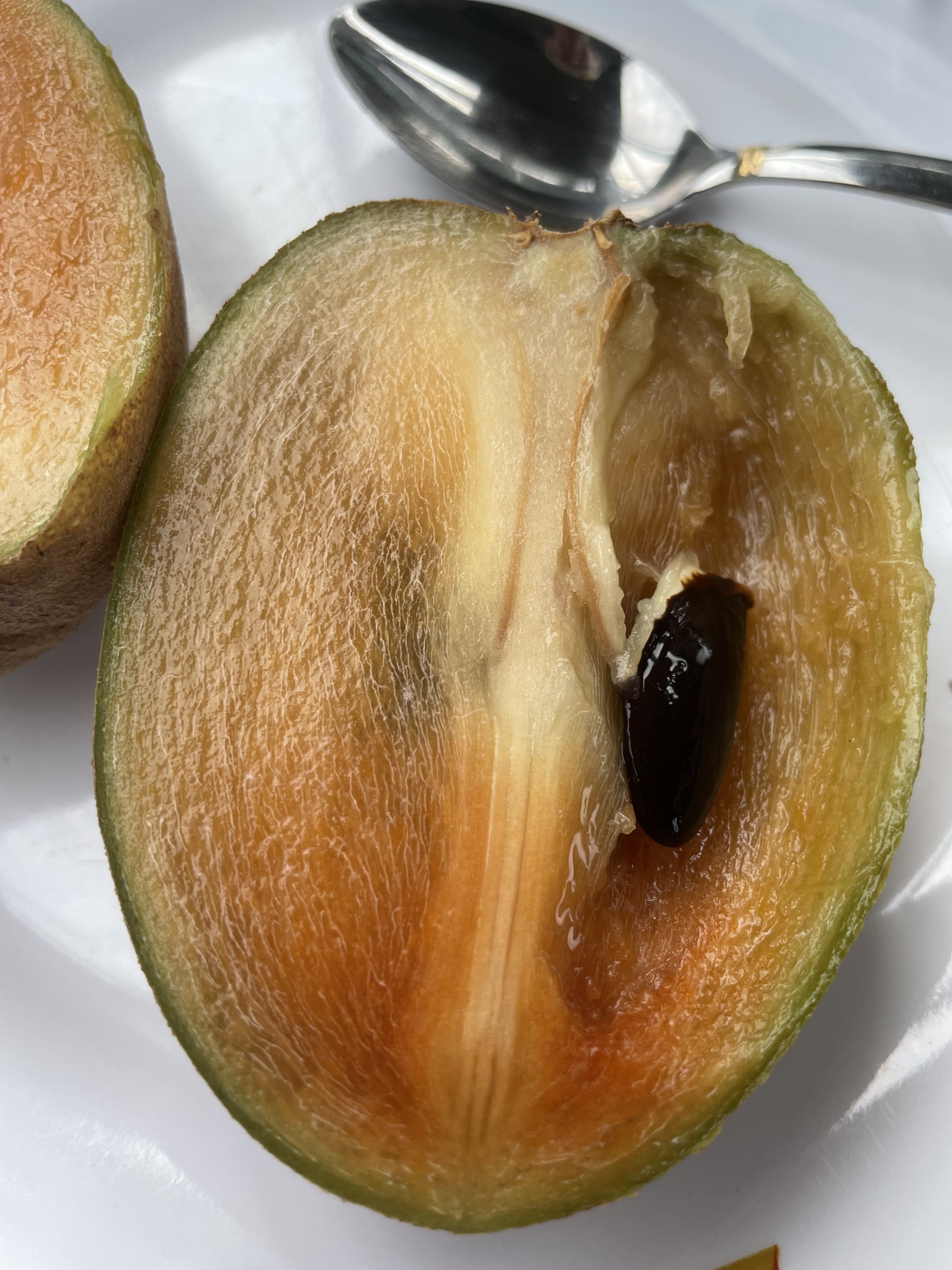 Ripe Sapodilla or 'Dilly' cut in half