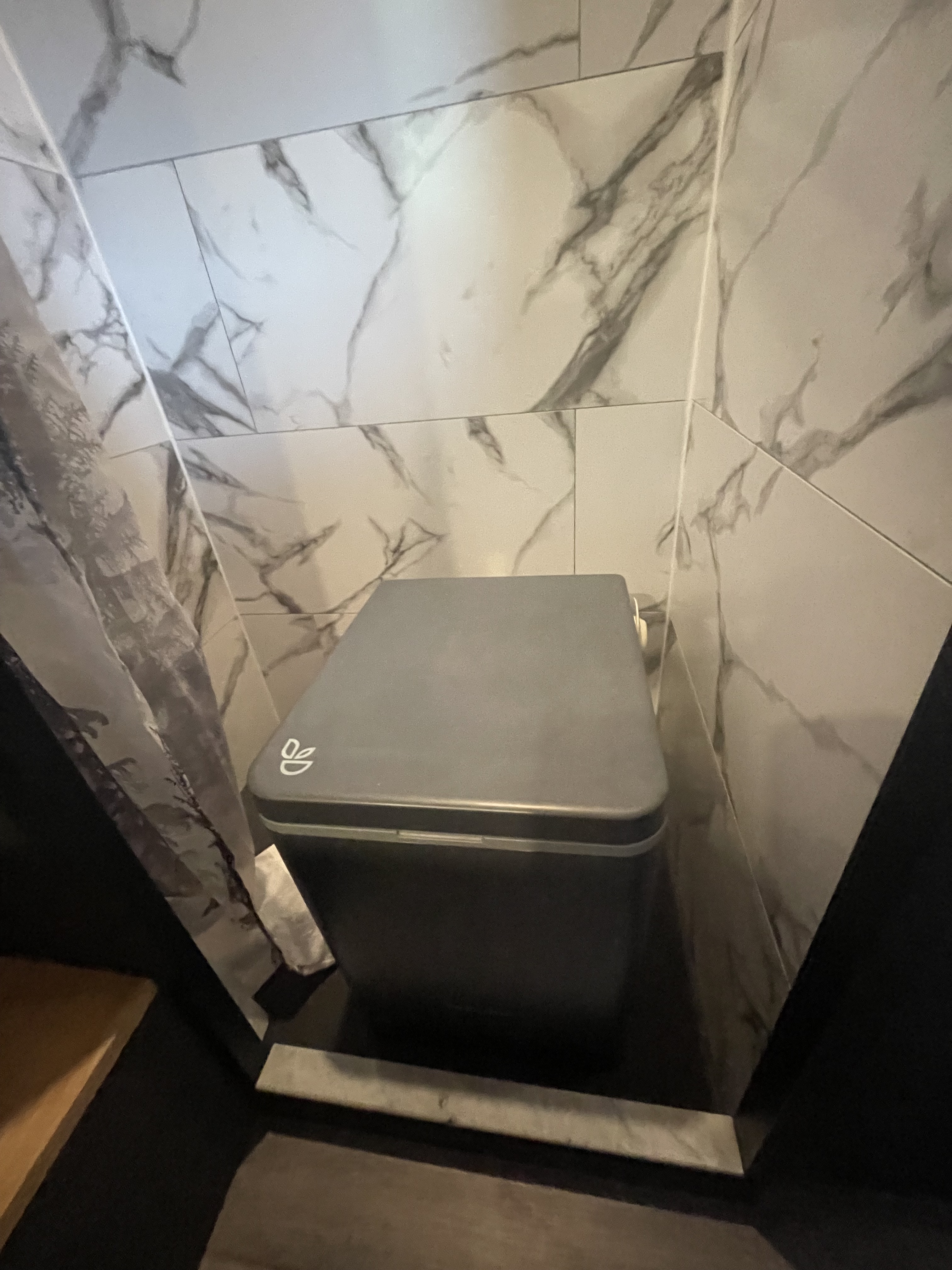 Shower stall with removable toilet